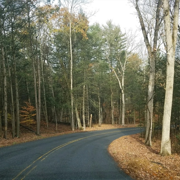 Meet your Posher, Linda - Picture 1 of 1